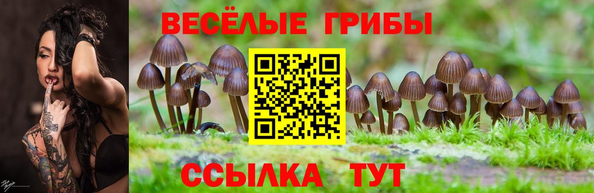 Псилоцибиновые грибы MAGIC MUSHROOMS  Вход с VPN  Бузулук  Галлюциногенные грибы Psilocybine cubensis 